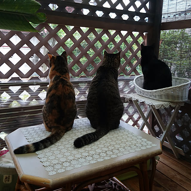 taleo07さんの実例写真