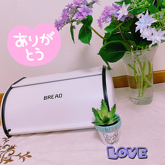 chIoeさんの実例写真