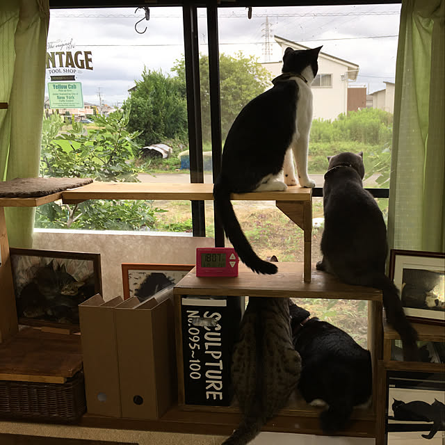 kmakkyiさんの実例写真