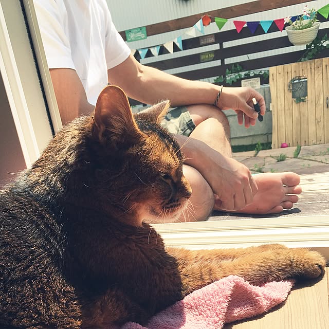 muuさんの実例写真