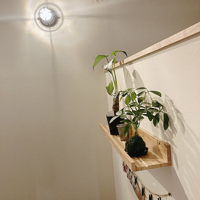 fujiさんの実例写真