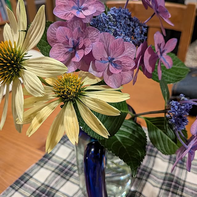 momomo7さんの実例写真