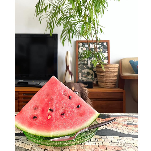 rueさんの部屋