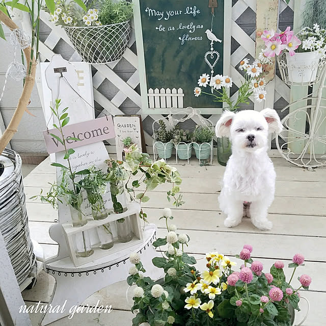 akiko.8さんの実例写真