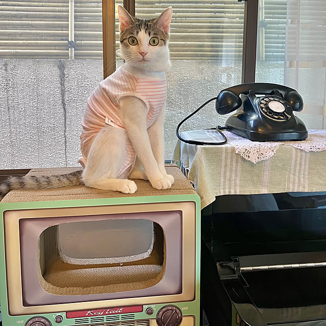 ayataroさんの実例写真