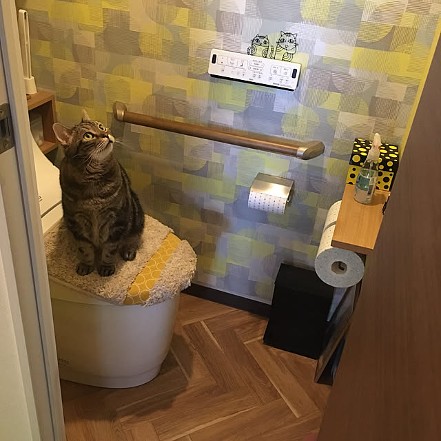 mikomaruさんの実例写真