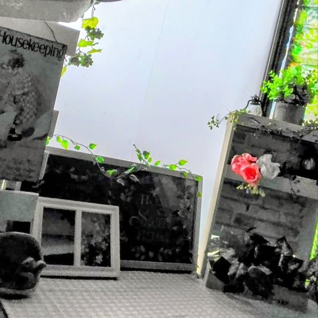 dreamerさんの部屋