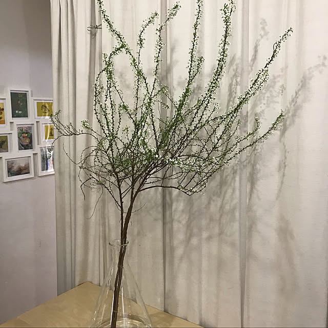 akai_hoiminさんの実例写真