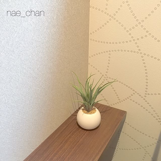 nae_chanさんの実例写真
