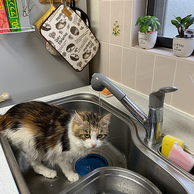 lovehomeさんの実例写真