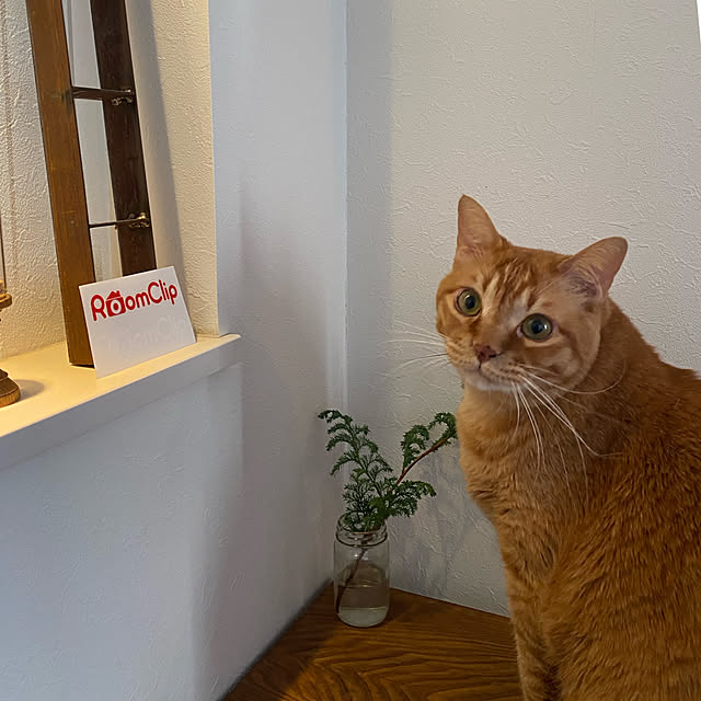 Hisashiさんの部屋