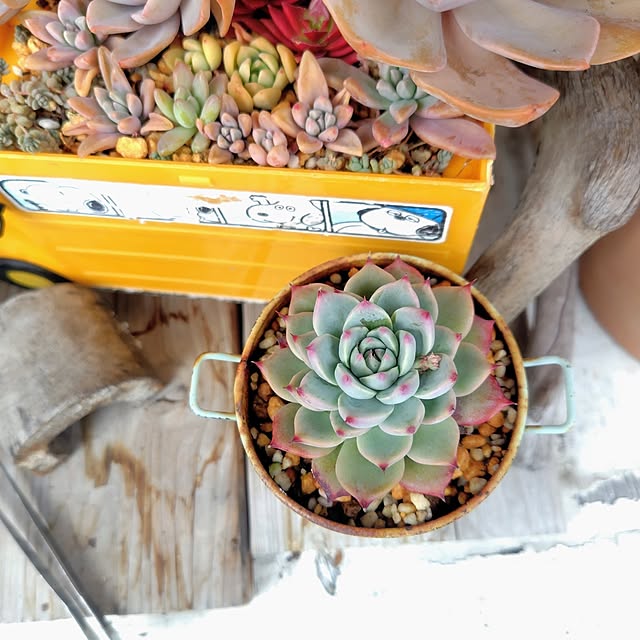 Jijiさんの実例写真