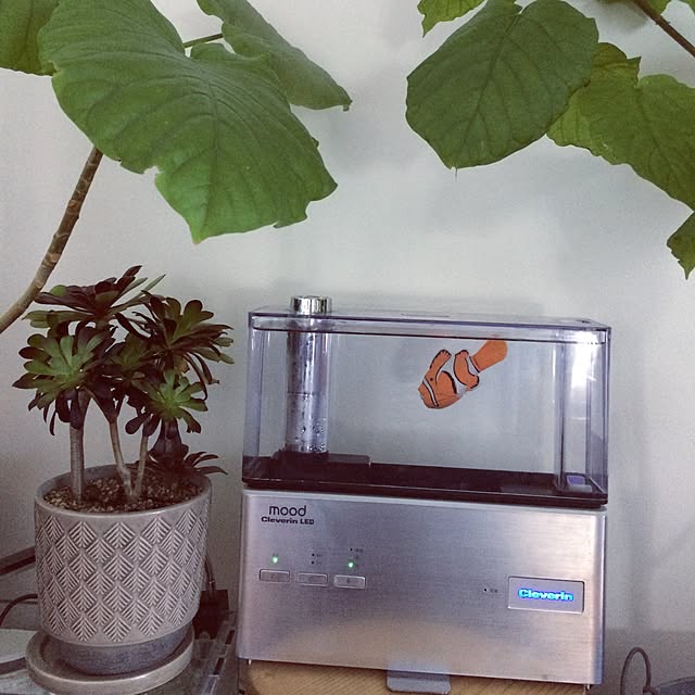 yukiさんの実例写真
