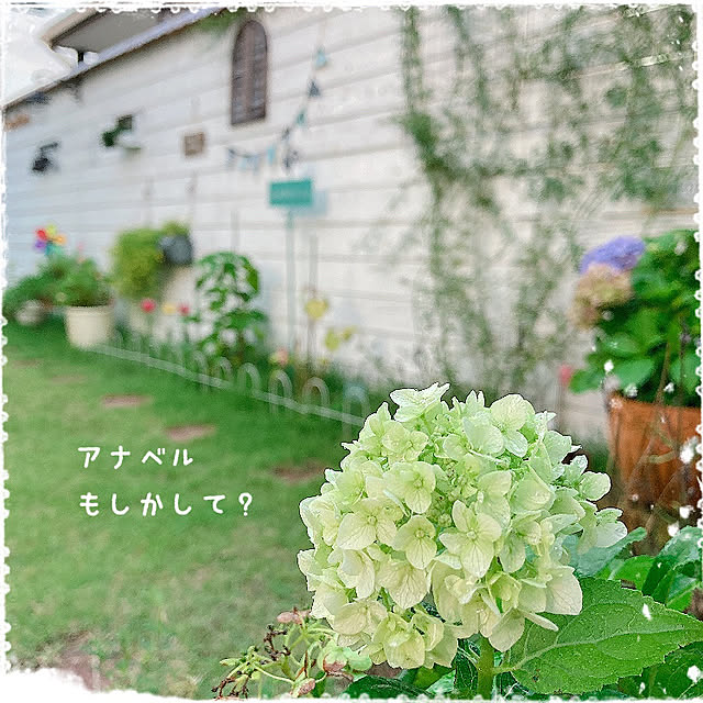 kiraraさんの実例写真