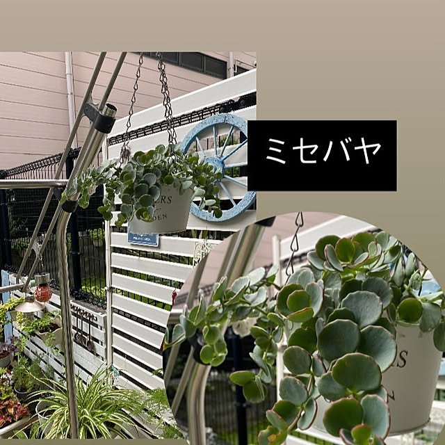 YuuKoさんの実例写真