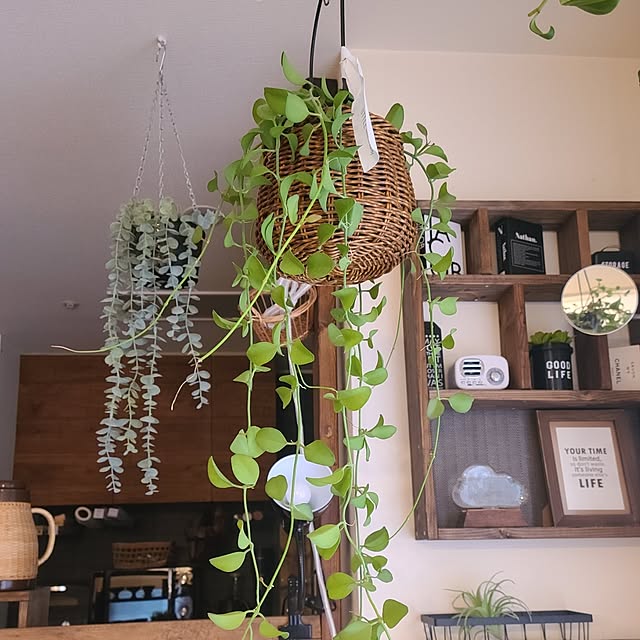 lovepeaceさんの部屋