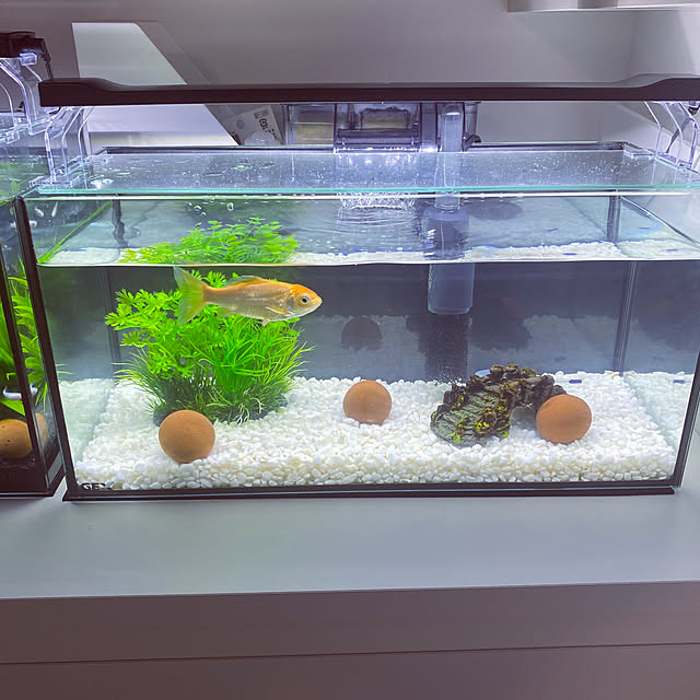 akrkr412112さんの実例写真