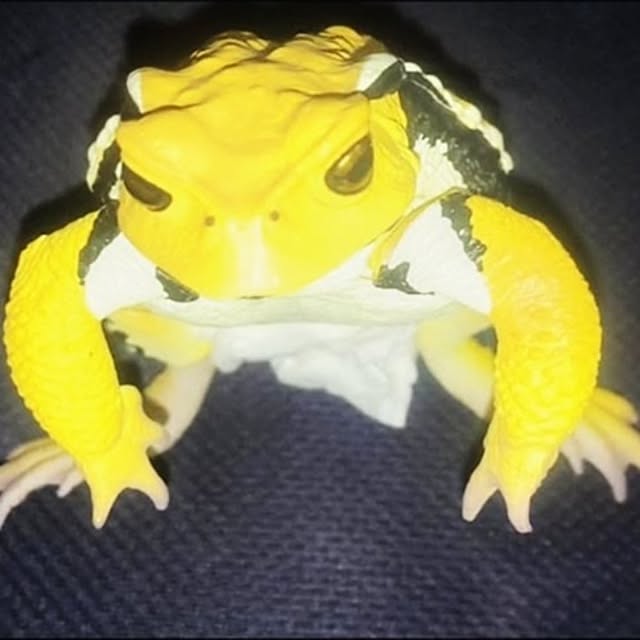 yuutasoさんの実例写真