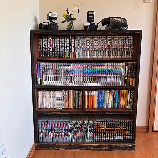 mikan161さんの実例写真