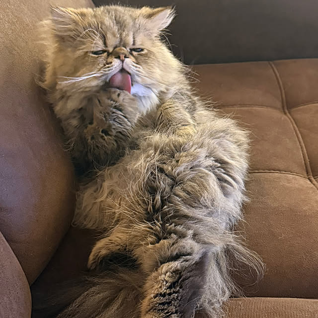 Mokunaさんの実例写真