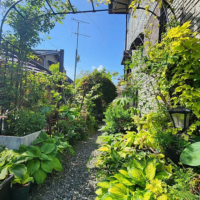 GreenHomeさんの部屋