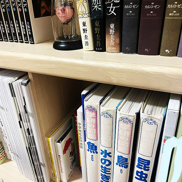 yuuchoさんの部屋