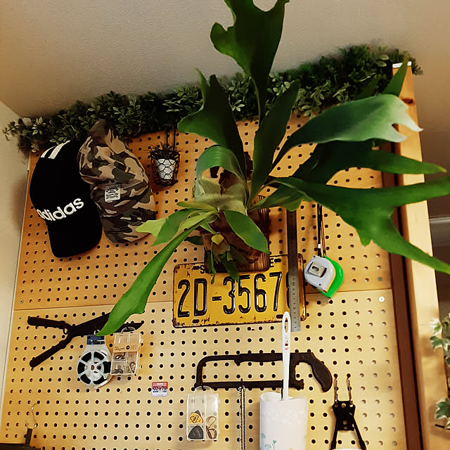 greenmanさんの実例写真