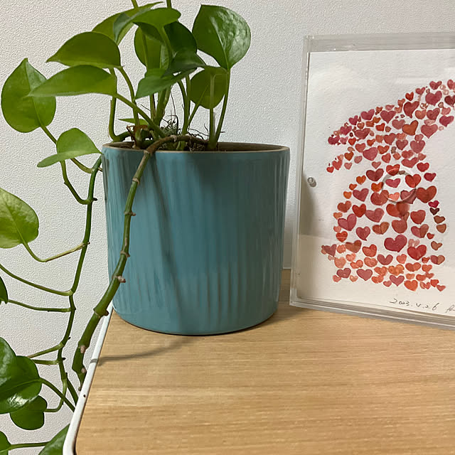 hanaさんの部屋