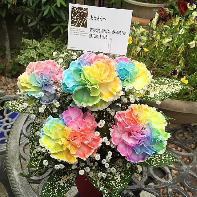 minamiさんの実例写真