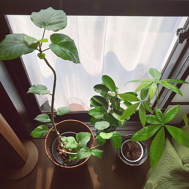 mommyさんの部屋