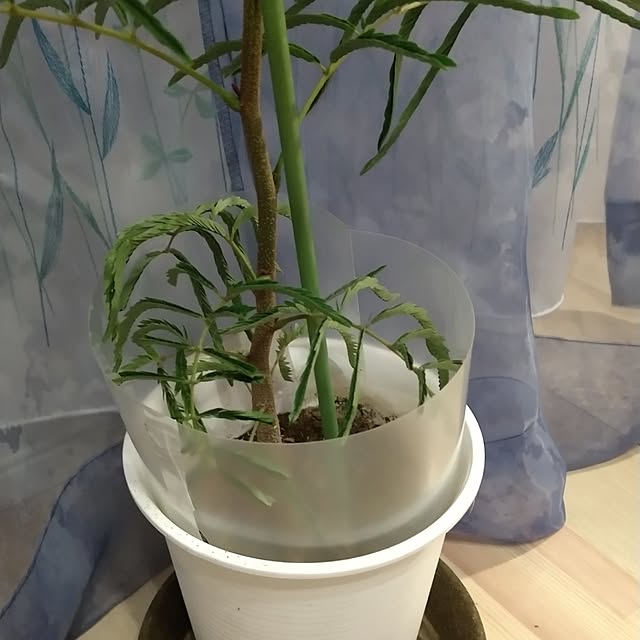 yuk.さんの部屋