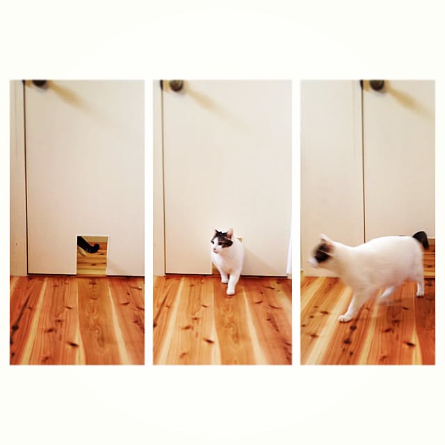 mohayaeteさんの実例写真