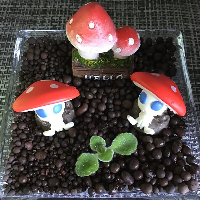 sanakoさんの実例写真