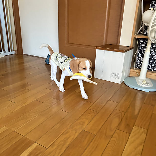 prelumoさんの実例写真