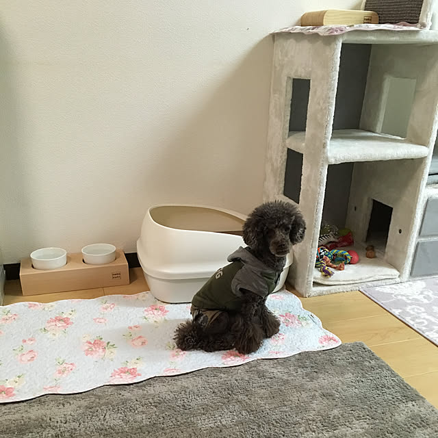 fionaさんの実例写真