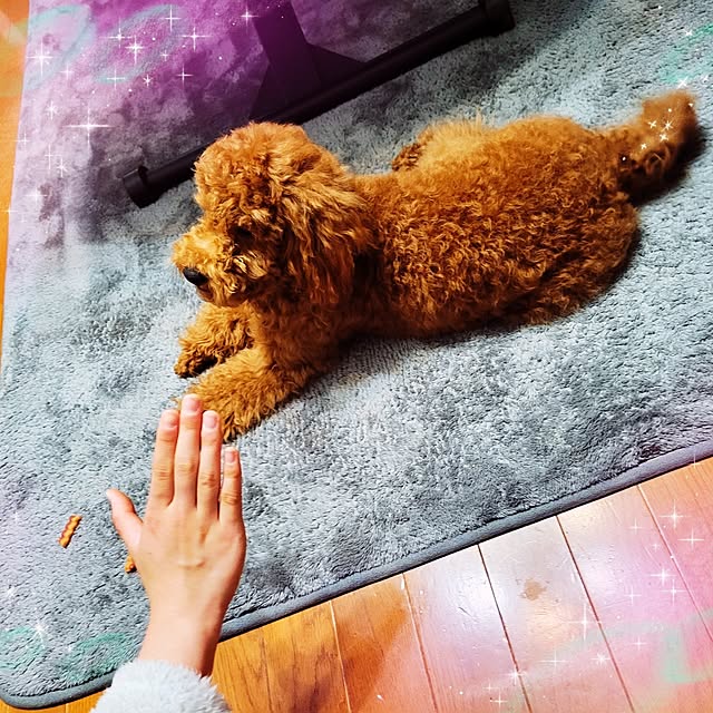 mimi828さんの実例写真