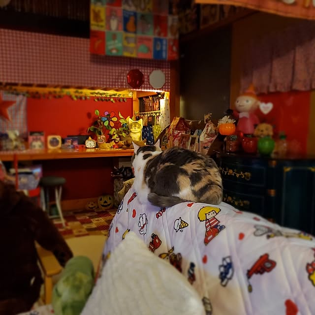 kumutanさんの部屋