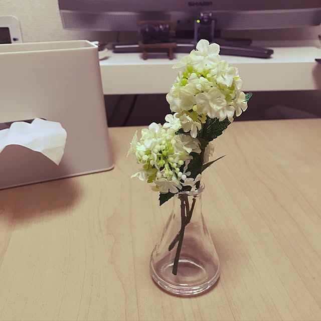 yoonさんの実例写真