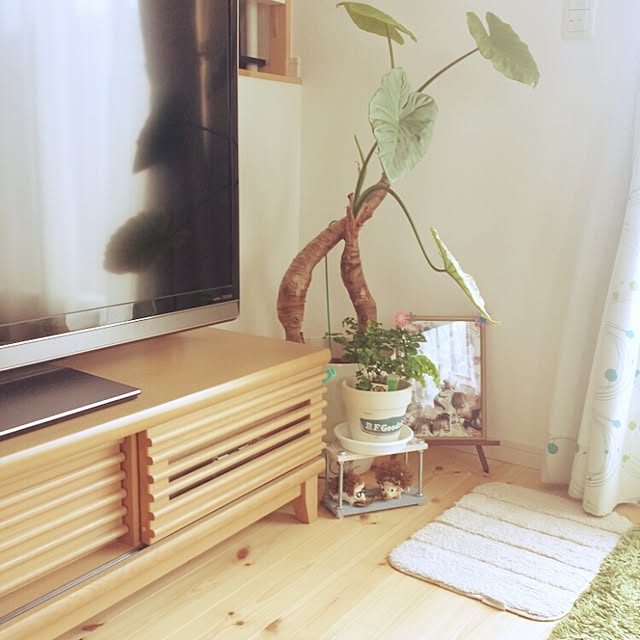 seiさんの実例写真