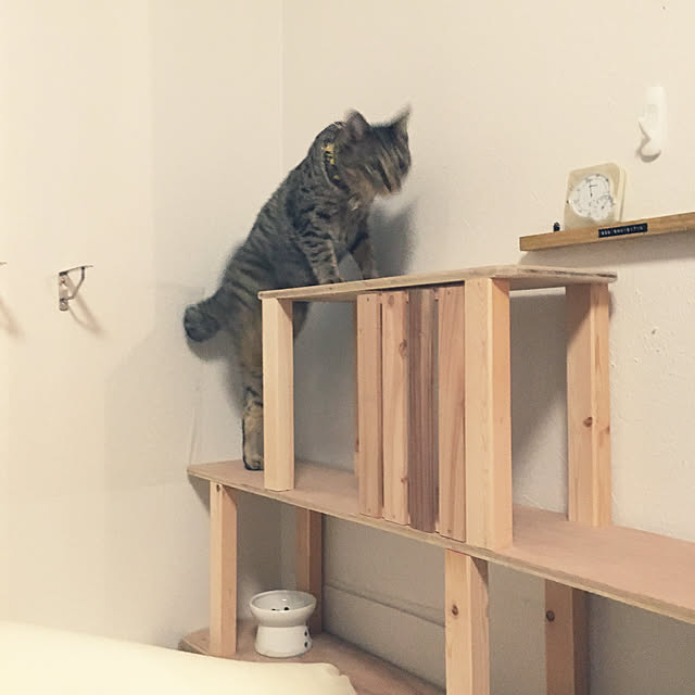 Mさんの実例写真