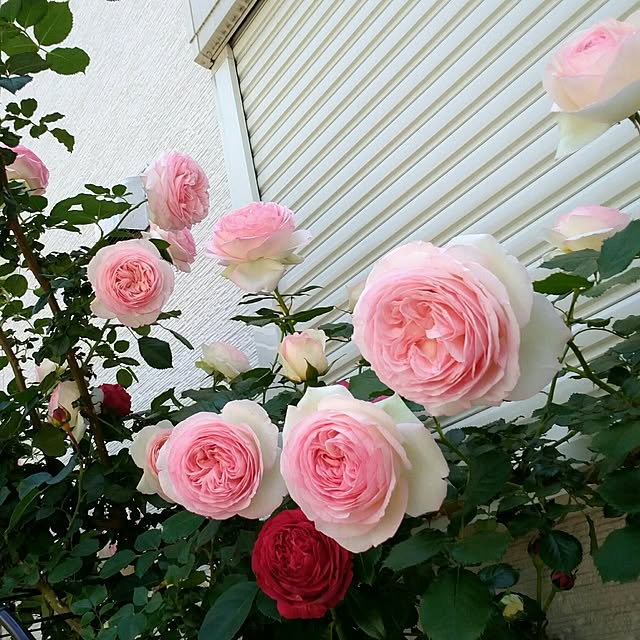 atelier_emaさんの実例写真