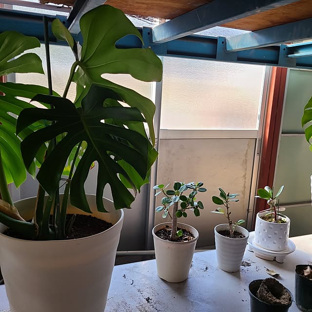 Rubiconさんの部屋