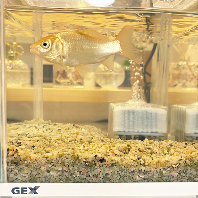 usakoさんの実例写真