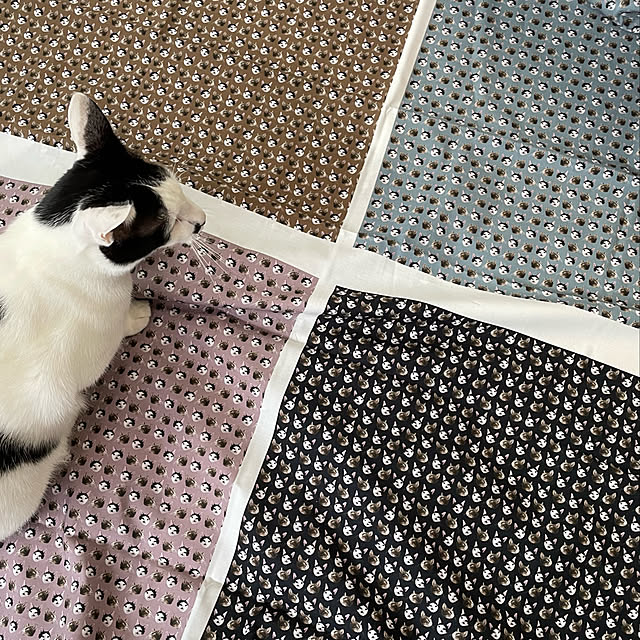 nobikoさんの実例写真