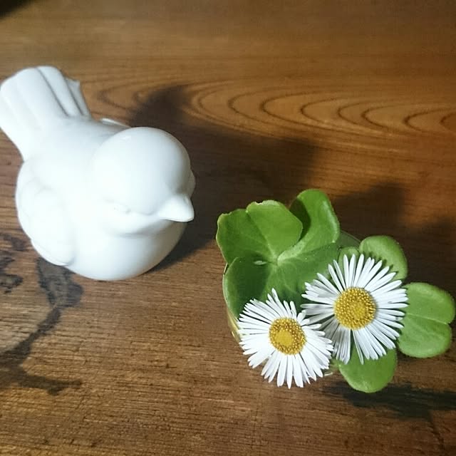 wanpakukaachanさんの実例写真