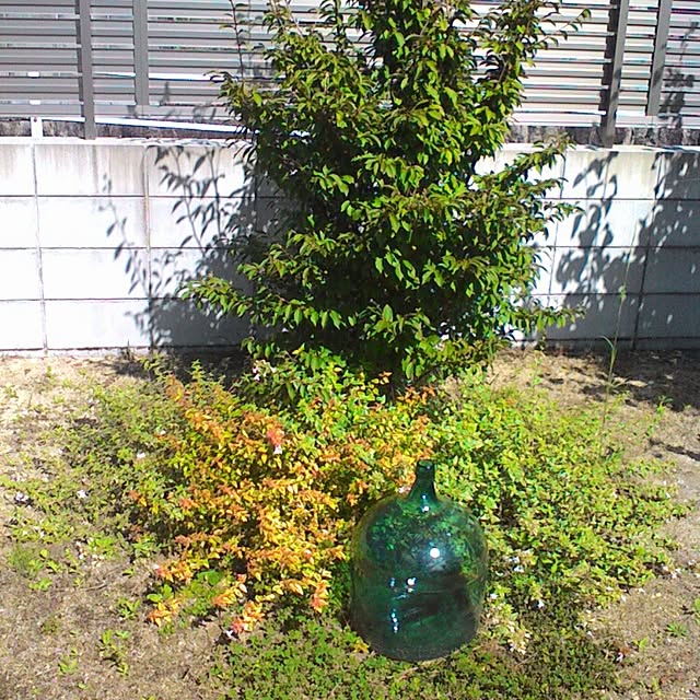 R-TYPEさんの実例写真