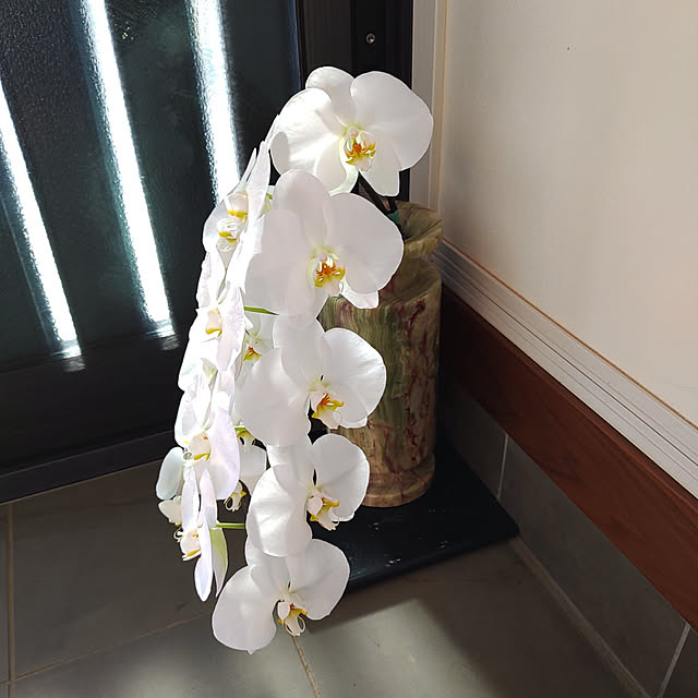 tokotokoさんの実例写真