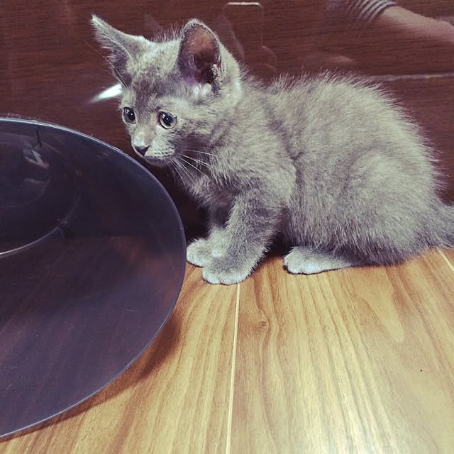 akisuisuiさんの実例写真