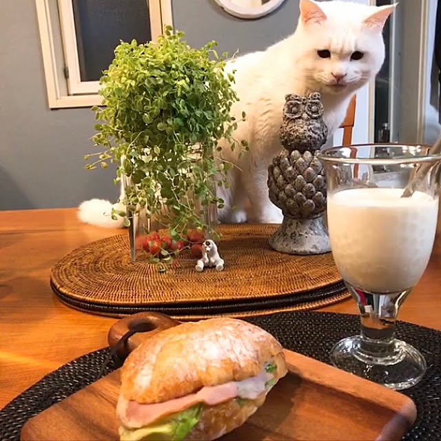 nyanko-beamさんの実例写真