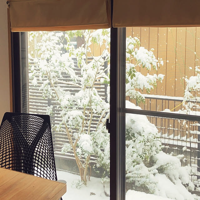 akanekoさんの部屋